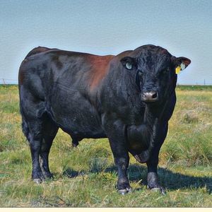 Meet your Posher, Keith